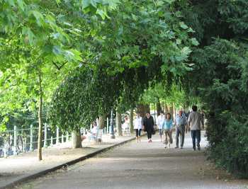 Leafy Vichy