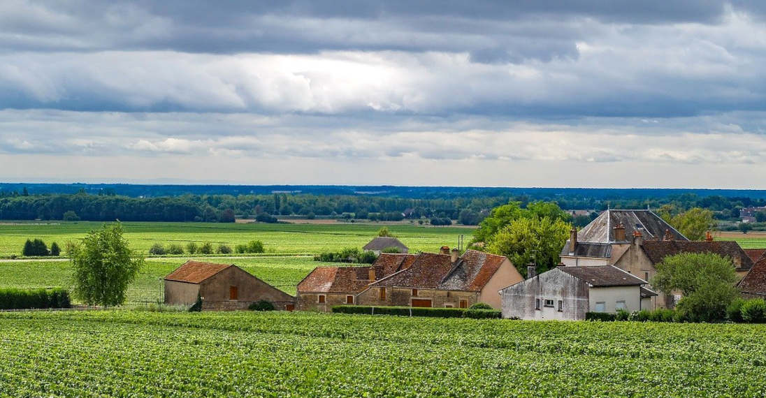 Burgundy landscape