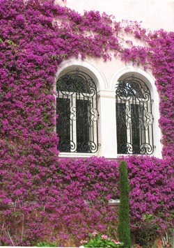 Haute Provence